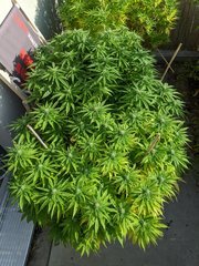 IMG_20200919_093225.jpg