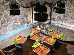IMG_20200919_144319.jpg