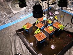 IMG_20200919_155444.jpg