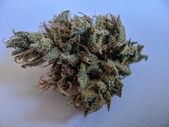 Compassion CBD - Dutch Passion