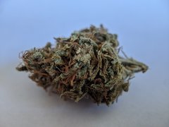 Gorilla CBD - Dinafem