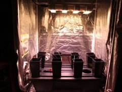 IMG_3344.JPG