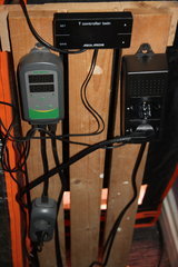 IMG_3349.JPG