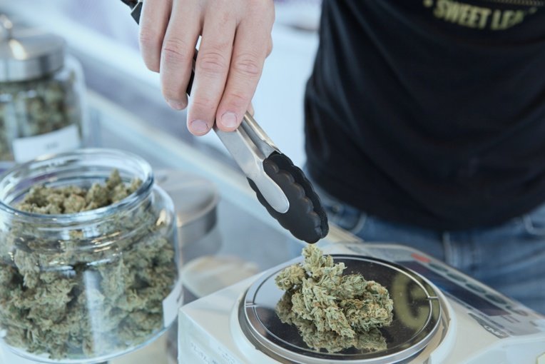 Le cannabis thérapeutique "illégal mais vital"