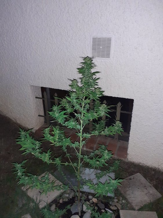 20200930_013307.jpg