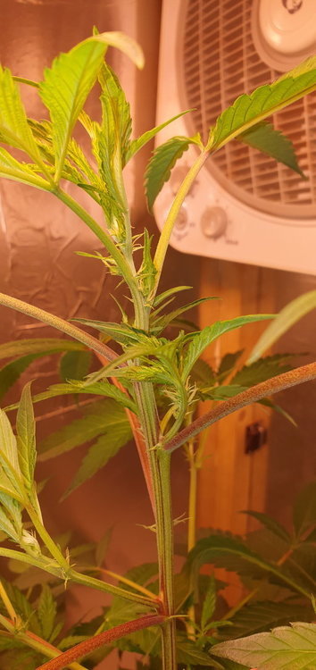 20201001_103628.jpg