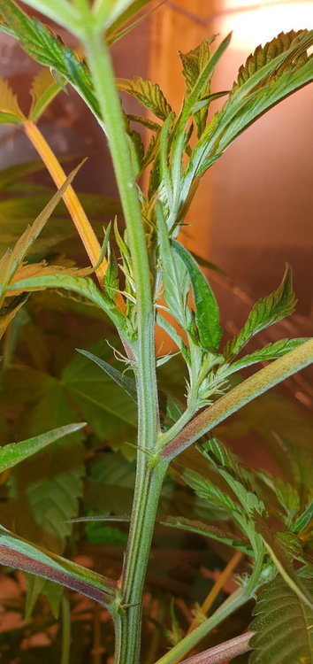 20201001_103635.jpg