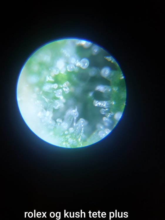 20201004_182857.jpg