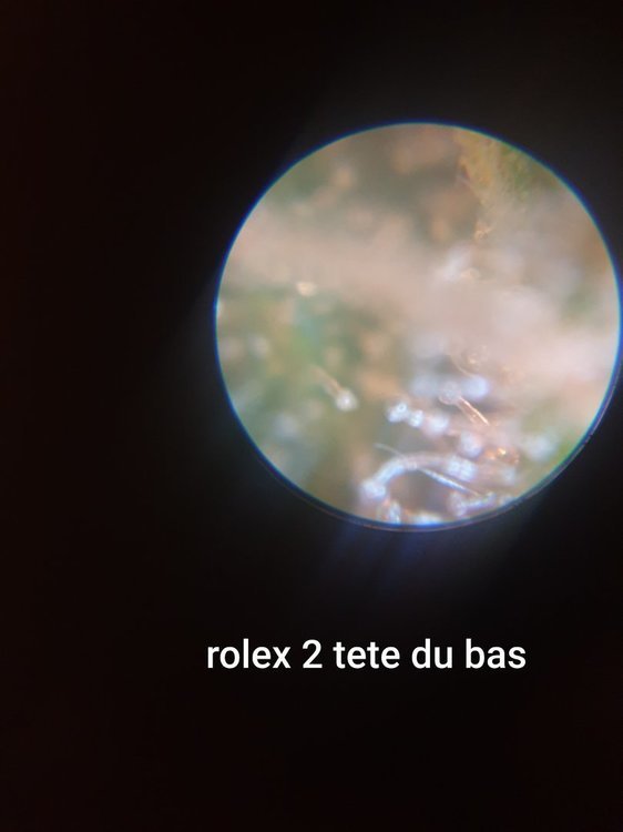 20201004_183830.thumb.jpg.103b8a32d52911c3be16c0d4198a839b.jpg