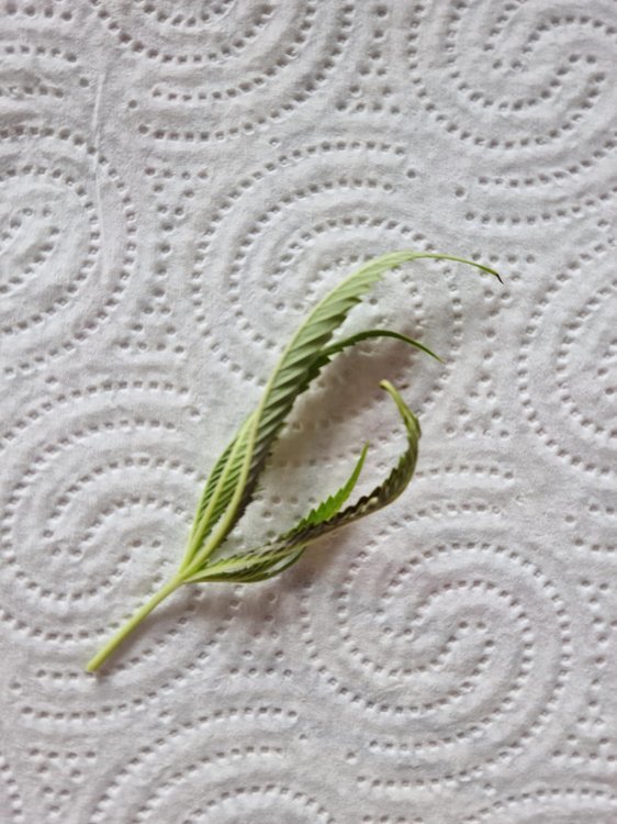 20201006_134043.jpg