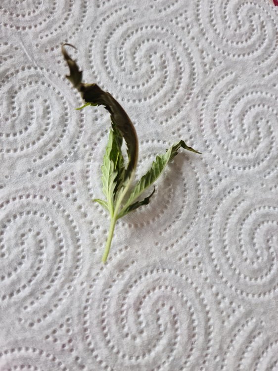 20201006_134133.jpg