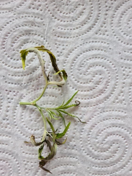 20201006_134145.jpg