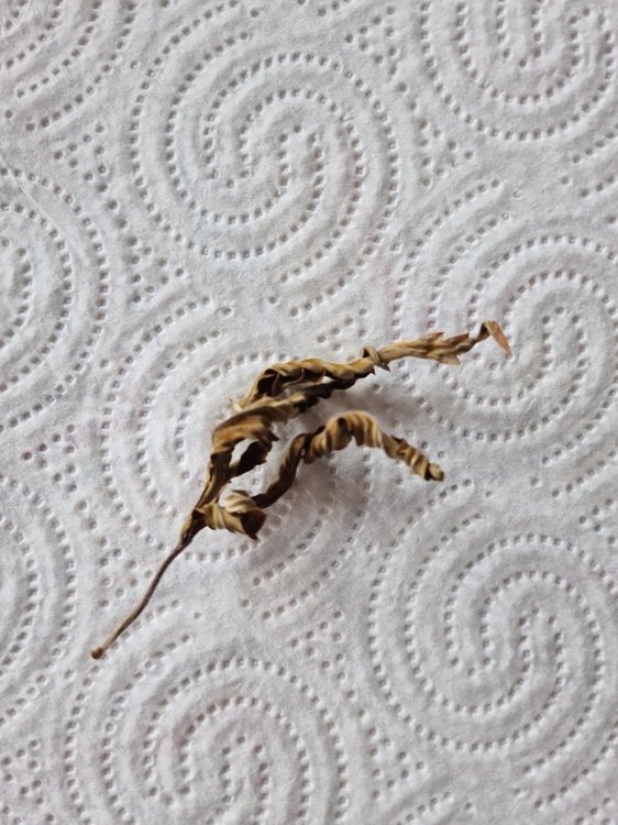 20201006_134152.jpg