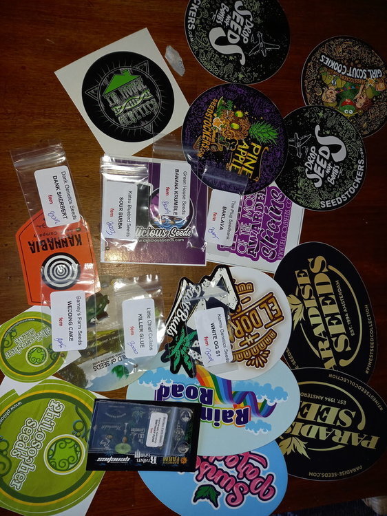 20201007_165954.jpg