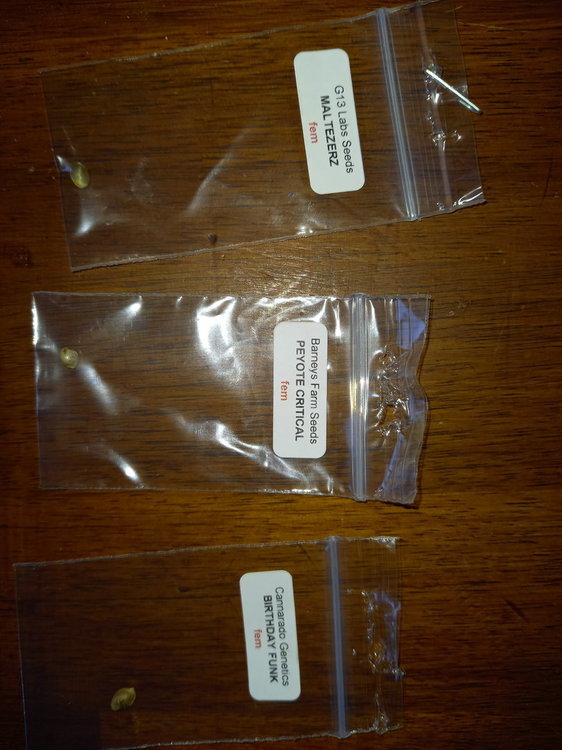20201007_170016.jpg