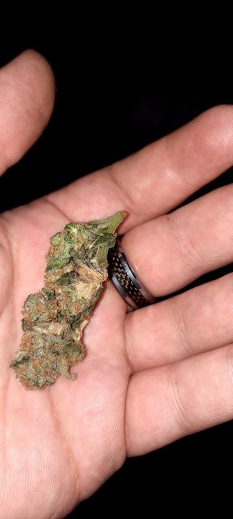 20201008_201137.jpg