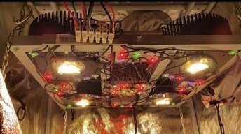 20201021_174813.jpg.3369363e39fe8f9f9c181d504a641b81.jpg