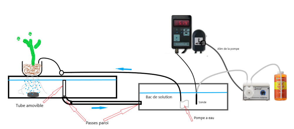 655211461_RDWCamelior.thumb.png.0e5db5b9731ae97c739ba286c317c8a2.png