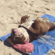 771216672_tenor-2020-10-29T180251_519.gif.719dd88935547b7e3c30ae27e2f8a7d7.gif