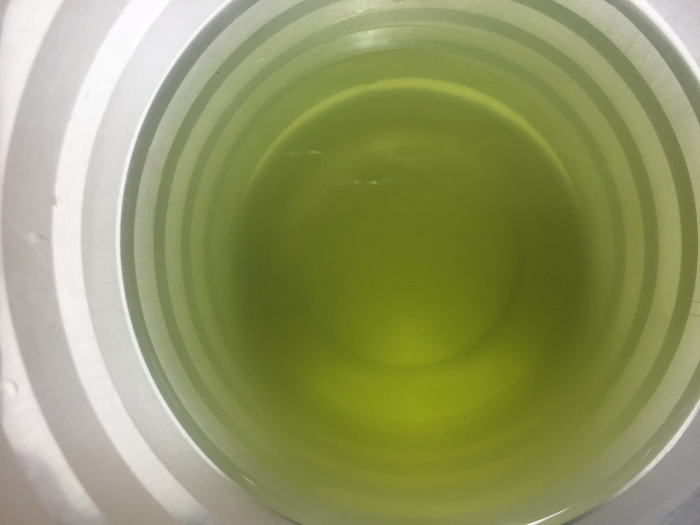 Bio-Alga.JPG