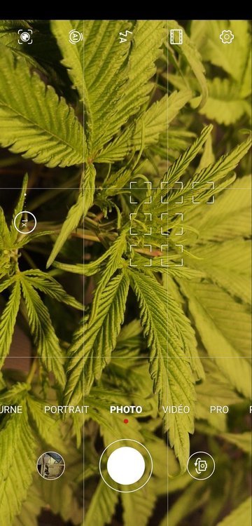 Screenshot_20200930_130953_com.huawei.camera.jpg