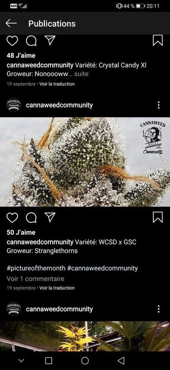 Screenshot_20201009_201116_com.instagram.android.thumb.jpg.1ac2252b32fe8b1e90750896f189a699.jpg