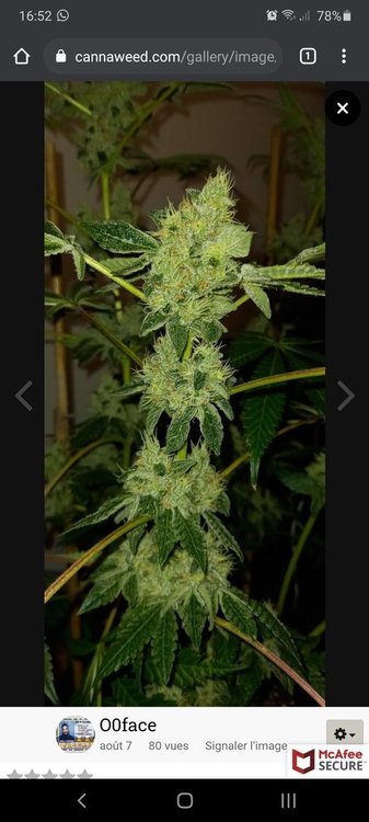 Screenshot_20201012-165238_Chrome.jpg