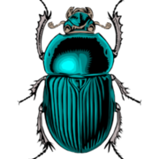 SCARA-B