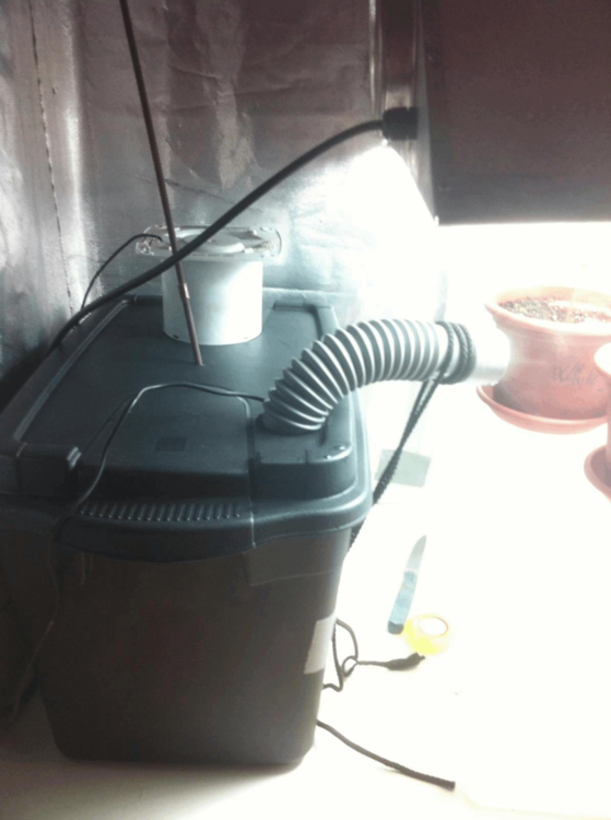 image.thumb.png.4bbeb15cf6eb370659b5874143879d5c.png