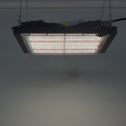 quantumboard-320-lm301h-red-150w.jpg
