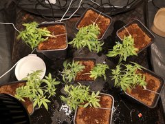 20201001_170423.jpg