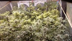 20201003_030433.jpg
