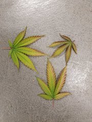 20201005_181447.jpg