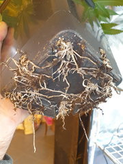20201008_214439.jpg