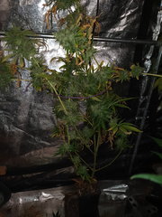 20201015_125153.jpg