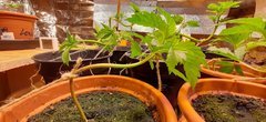20201027_182336.jpg