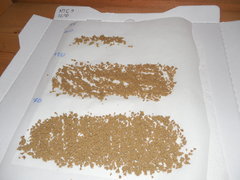 ICE O MIX indoor