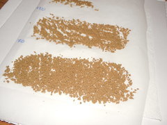 ICE O MIX indoor