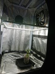 Nano box