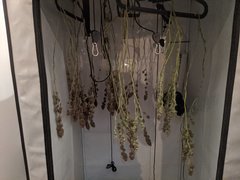 IMG_20200928_205528.jpg