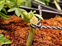 IMG_20201001_145509.jpg