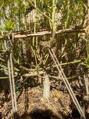 IMG_20201004_131909.jpg