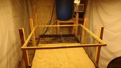 IMG_20201008_115201558.jpg
