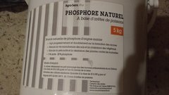 IMG_20201008_115529502.jpg