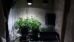 IMG_20201008_175553734.jpg