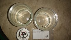 IMG_20201008_175740597.jpg