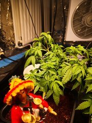 IMG_20201009_154551