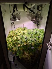 IMG_20201011_113527.jpg