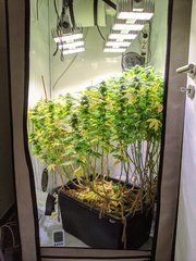 IMG_20201011_113725.jpg