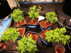 IMG_20201013_145258.jpg